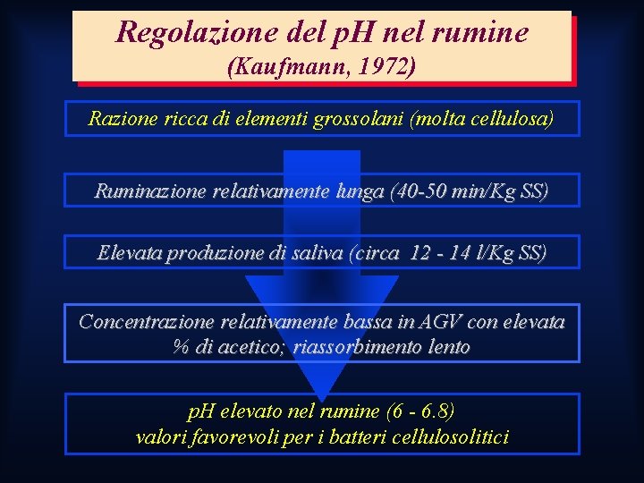 Regolazione del p. H nel rumine (Kaufmann, 1972) Razione ricca di elementi grossolani (molta Regolazione del p. H nel rumine (Kaufmann, 1972) Razione ricca di elementi grossolani (molta