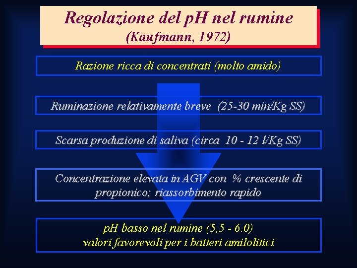 Regolazione del p. H nel rumine (Kaufmann, 1972) Razione ricca di concentrati (molto amido) Regolazione del p. H nel rumine (Kaufmann, 1972) Razione ricca di concentrati (molto amido)