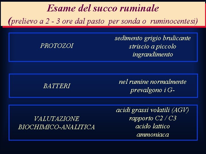 Esame del succo ruminale (prelievo a 2 - 3 ore dal pasto per sonda Esame del succo ruminale (prelievo a 2 - 3 ore dal pasto per sonda