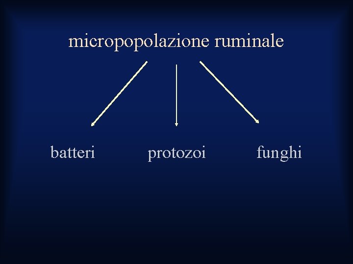 micropopolazione ruminale batteri protozoi funghi micropopolazione ruminale batteri protozoi funghi