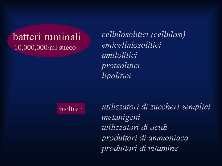 batteri ruminali 10, 000/ml succo ! inoltre : cellulosolitici (cellulasi) emicellulosolitici amilolitici proteolitici lipolitici batteri ruminali 10, 000/ml succo ! inoltre : cellulosolitici (cellulasi) emicellulosolitici amilolitici proteolitici lipolitici