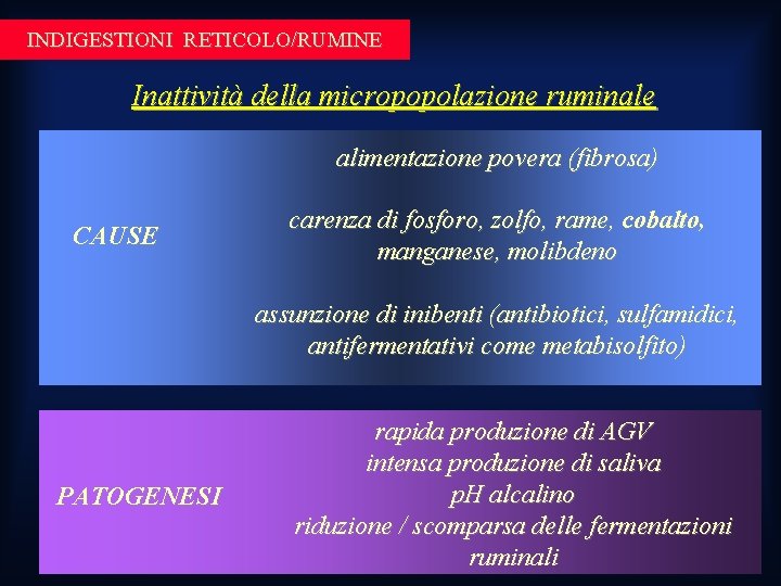 INDIGESTIONI RETICOLO/RUMINE Inattività della micropopolazione ruminale alimentazione povera (fibrosa) CAUSE carenza di fosforo, zolfo, INDIGESTIONI RETICOLO/RUMINE Inattività della micropopolazione ruminale alimentazione povera (fibrosa) CAUSE carenza di fosforo, zolfo,