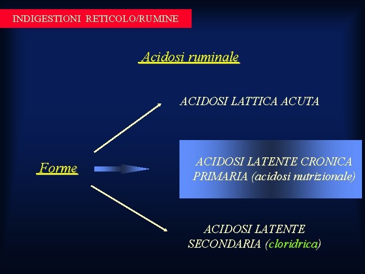 INDIGESTIONI RETICOLO/RUMINE Acidosi ruminale ACIDOSI LATTICA ACUTA Forme ACIDOSI LATENTE CRONICA PRIMARIA (acidosi nutrizionale) INDIGESTIONI RETICOLO/RUMINE Acidosi ruminale ACIDOSI LATTICA ACUTA Forme ACIDOSI LATENTE CRONICA PRIMARIA (acidosi nutrizionale)