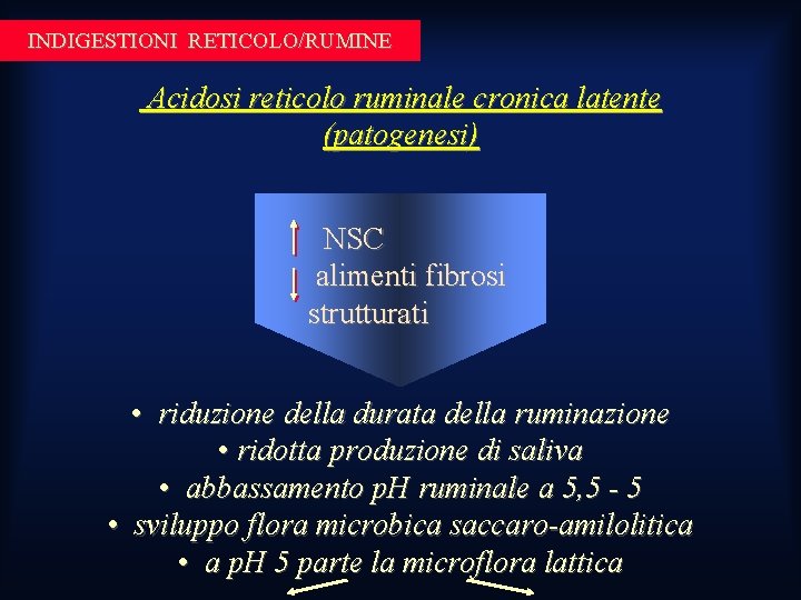 INDIGESTIONI RETICOLO/RUMINE Acidosi reticolo ruminale cronica latente (patogenesi) NSC alimenti fibrosi strutturati • riduzione INDIGESTIONI RETICOLO/RUMINE Acidosi reticolo ruminale cronica latente (patogenesi) NSC alimenti fibrosi strutturati • riduzione