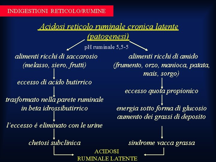 INDIGESTIONI RETICOLO/RUMINE Acidosi reticolo ruminale cronica latente (patogenesi) p. H ruminale 5, 5 -5 INDIGESTIONI RETICOLO/RUMINE Acidosi reticolo ruminale cronica latente (patogenesi) p. H ruminale 5, 5 -5