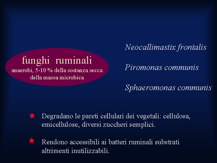 Neocallimastix frontalis funghi ruminali anaerobi, 5 -10 % della sostanza secca della massa microbica Neocallimastix frontalis funghi ruminali anaerobi, 5 -10 % della sostanza secca della massa microbica