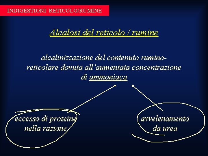 INDIGESTIONI RETICOLO/RUMINE Alcalosi del reticolo / rumine alcalinizzazione del contenuto ruminoreticolare dovuta all’aumentata concentrazione INDIGESTIONI RETICOLO/RUMINE Alcalosi del reticolo / rumine alcalinizzazione del contenuto ruminoreticolare dovuta all’aumentata concentrazione