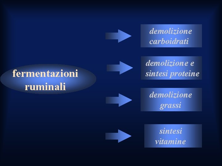 demolizione carboidrati fermentazioni ruminali demolizione e sintesi proteine demolizione grassi sintesi vitamine demolizione carboidrati fermentazioni ruminali demolizione e sintesi proteine demolizione grassi sintesi vitamine