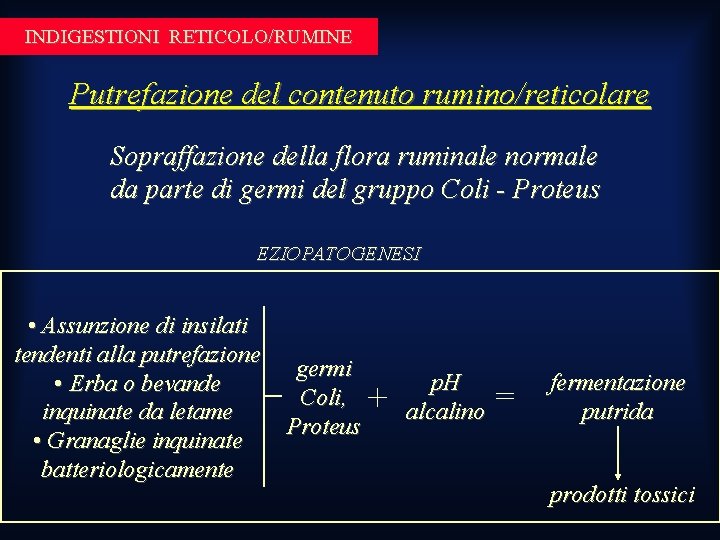 INDIGESTIONI RETICOLO/RUMINE Putrefazione del contenuto rumino/reticolare Sopraffazione della flora ruminale normale da parte di INDIGESTIONI RETICOLO/RUMINE Putrefazione del contenuto rumino/reticolare Sopraffazione della flora ruminale normale da parte di