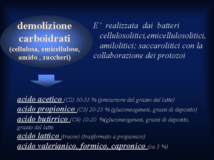 demolizione carboidrati (cellulosa, emicellulose, amido , zuccheri) E’ realizzata dai batteri cellulosolitici, emicellulosolitici, amilolitici; demolizione carboidrati (cellulosa, emicellulose, amido , zuccheri) E’ realizzata dai batteri cellulosolitici, emicellulosolitici, amilolitici;