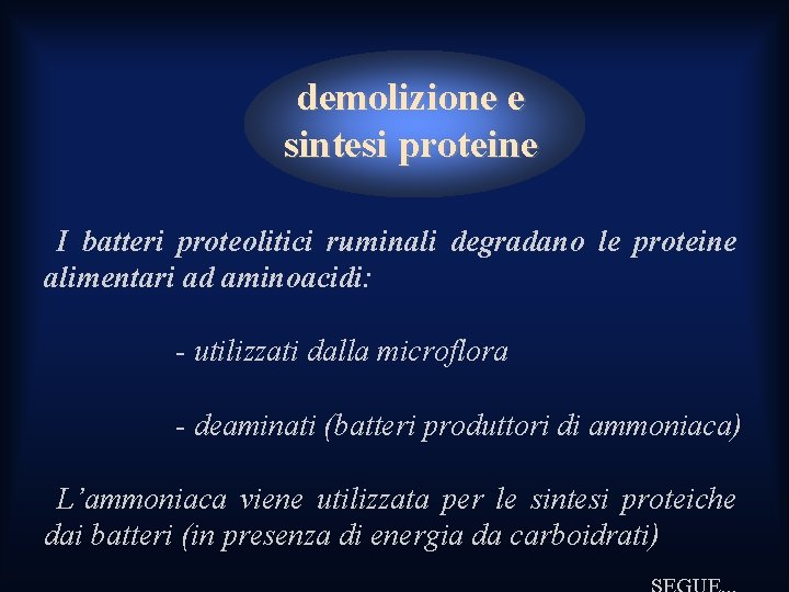demolizione e sintesi proteine I batteri proteolitici ruminali degradano le proteine alimentari ad aminoacidi: demolizione e sintesi proteine I batteri proteolitici ruminali degradano le proteine alimentari ad aminoacidi: