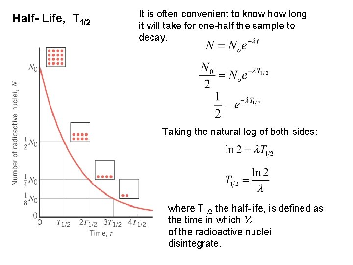 Half- Life, T 1/2 It is often convenient to know how long it will Half- Life, T 1/2 It is often convenient to know how long it will