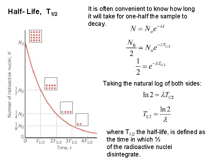 Half- Life, T 1/2 It is often convenient to know how long it will