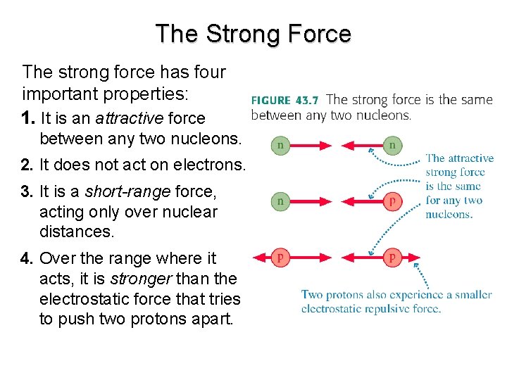 The Strong Force The strong force has four important properties: 1. It is an The Strong Force The strong force has four important properties: 1. It is an