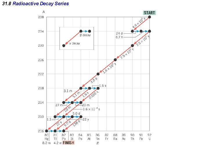 31. 8 Radioactive Decay Series 