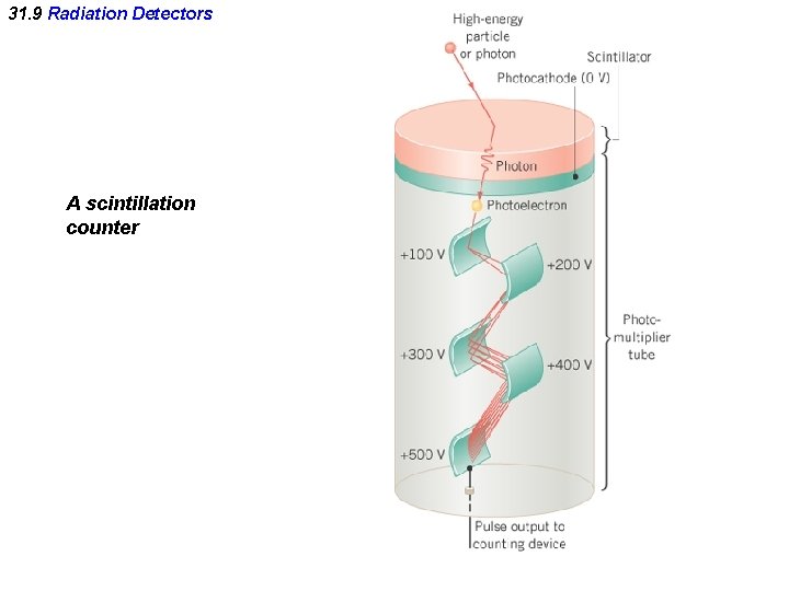 31. 9 Radiation Detectors A scintillation counter 31. 9 Radiation Detectors A scintillation counter