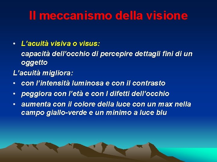 Il meccanismo della visione • L’acuità visiva o visus: capacità dell’occhio di percepire dettagli