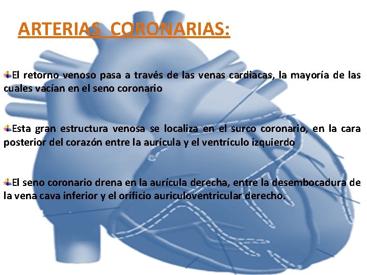 ARTERIAS CORONARIAS: El retorno venoso pasa a través de las venas cardiacas, la mayoría ARTERIAS CORONARIAS: El retorno venoso pasa a través de las venas cardiacas, la mayoría