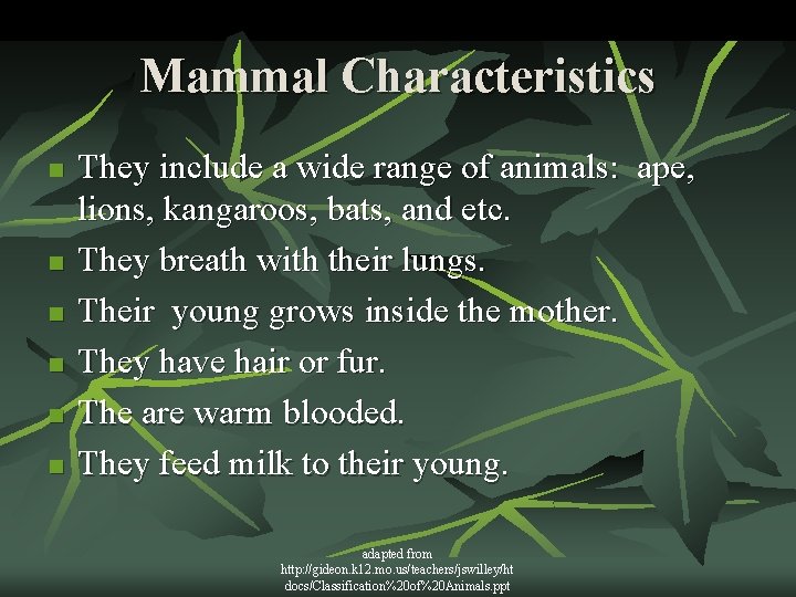Mammal Characteristics n n n They include a wide range of animals: ape, lions,