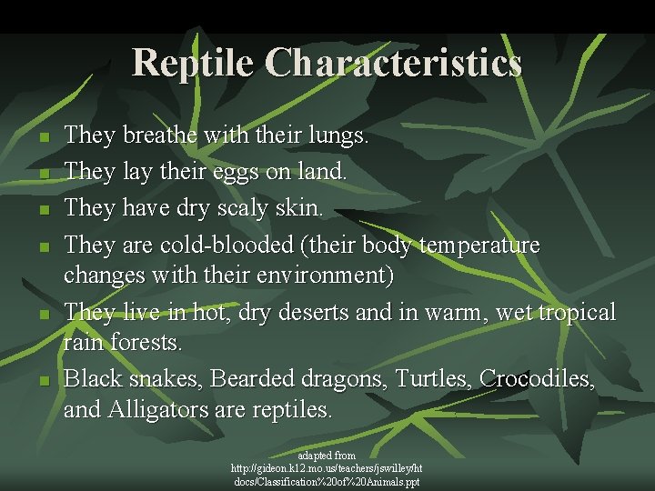 Reptile Characteristics n n n They breathe with their lungs. They lay their eggs