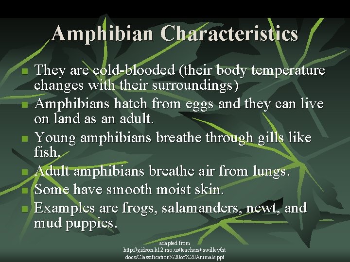 Amphibian Characteristics n n n They are cold-blooded (their body temperature changes with their