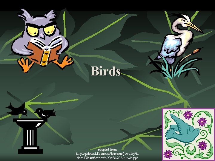 Birds adapted from http: //gideon. k 12. mo. us/teachers/jswilley/ht docs/Classification%20 of%20 Animals. ppt 