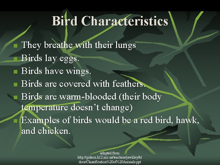 Bird Characteristics n n n They breathe with their lungs Birds lay eggs. Birds