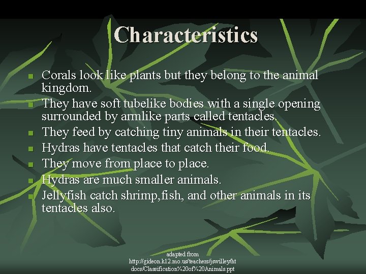 Characteristics n n n n Corals look like plants but they belong to the