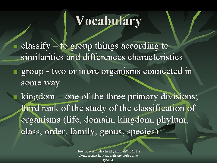 Vocabulary n n n classify – to group things according to similarities and differences
