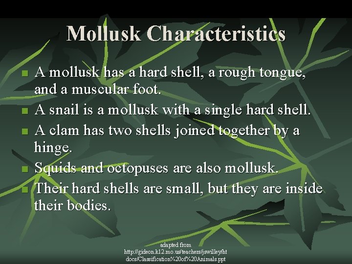 Mollusk Characteristics n n n A mollusk has a hard shell, a rough tongue,