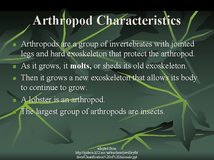 Arthropod Characteristics n n n Arthropods are a group of invertebrates with jointed legs