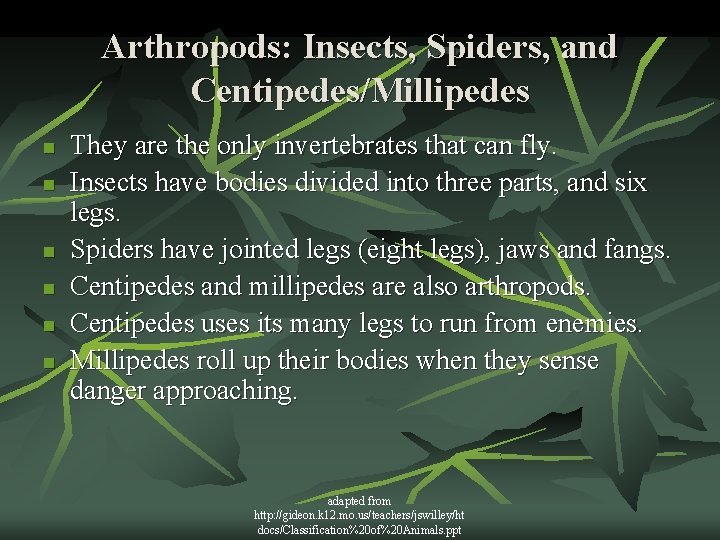 Arthropods: Insects, Spiders, and Centipedes/Millipedes n n n They are the only invertebrates that