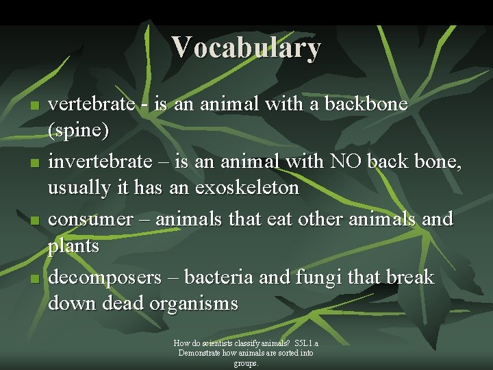 Vocabulary n n vertebrate - is an animal with a backbone (spine) invertebrate –