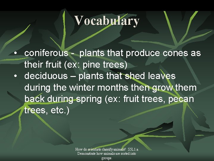 Vocabulary • coniferous - plants that produce cones as their fruit (ex: pine trees)