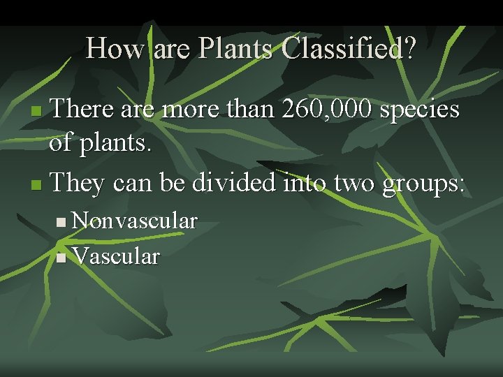 How are Plants Classified? There are more than 260, 000 species of plants. n