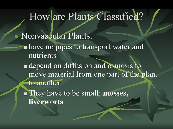 How are Plants Classified? n Nonvascular Plants: have no pipes to transport water and