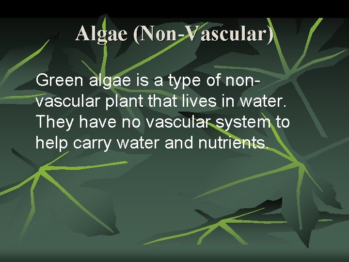 Algae (Non-Vascular) Green algae is a type of nonvascular plant that lives in water.