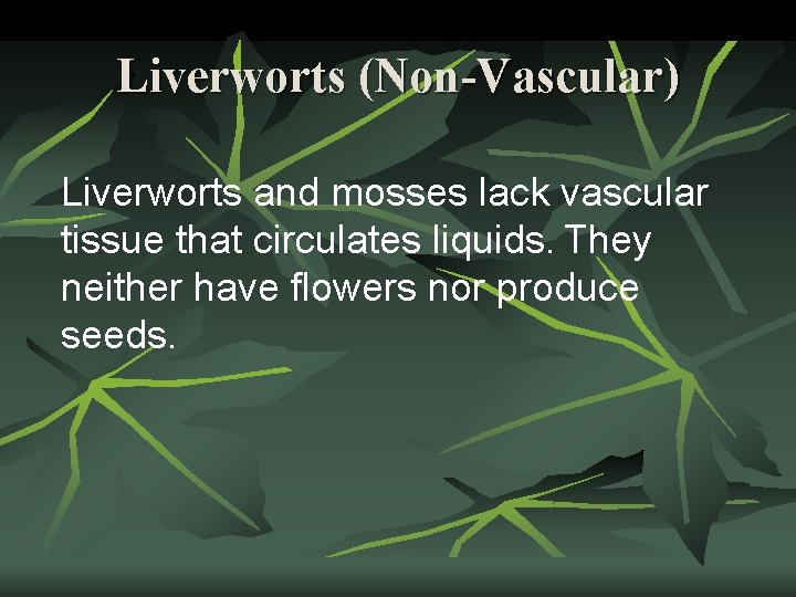 Liverworts (Non-Vascular) Liverworts and mosses lack vascular tissue that circulates liquids. They neither have