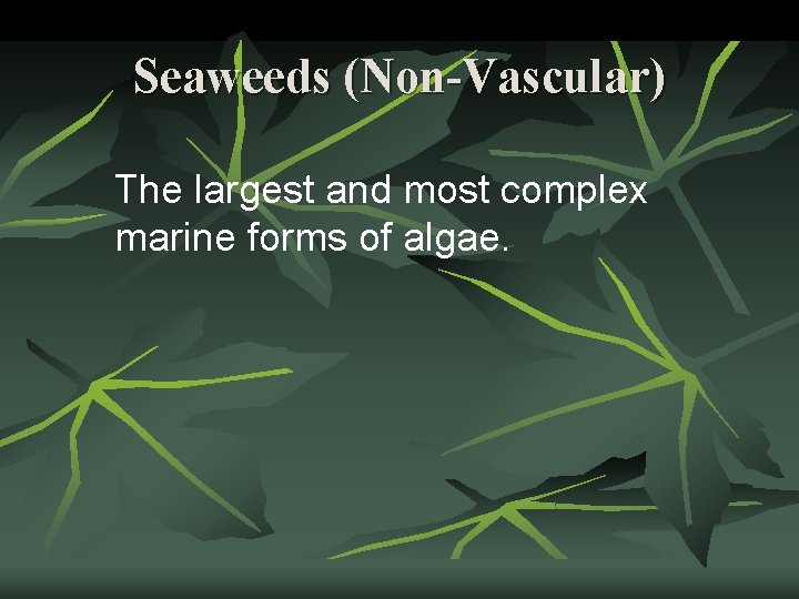 Seaweeds (Non-Vascular) The largest and most complex marine forms of algae. 