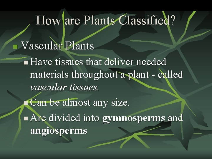 How are Plants Classified? n Vascular Plants Have tissues that deliver needed materials throughout