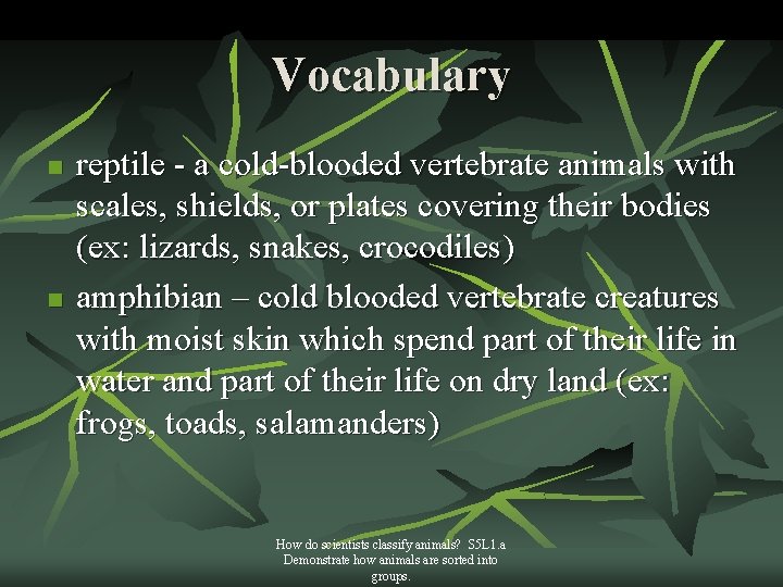Vocabulary n n reptile - a cold-blooded vertebrate animals with scales, shields, or plates