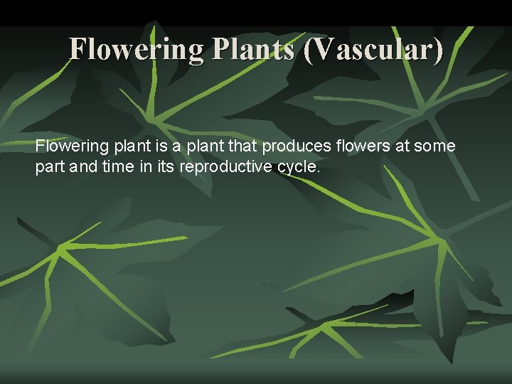 Flowering Plants (Vascular) Flowering plant is a plant that produces flowers at some part