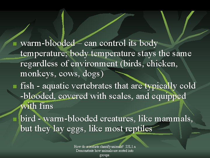 n n n warm-blooded – can control its body temperature; body temperature stays the