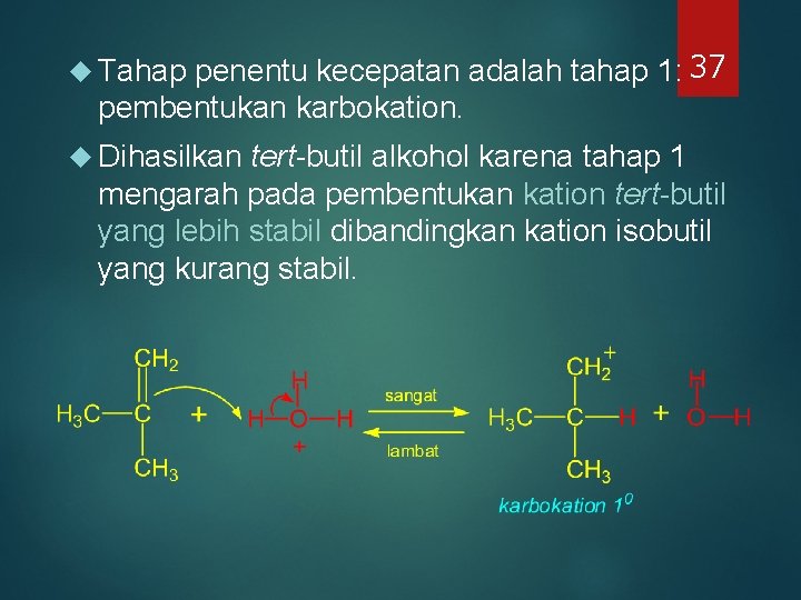 penentu kecepatan adalah tahap 1: 37 pembentukan karbokation. Tahap Dihasilkan tert-butil alkohol karena tahap penentu kecepatan adalah tahap 1: 37 pembentukan karbokation. Tahap Dihasilkan tert-butil alkohol karena tahap