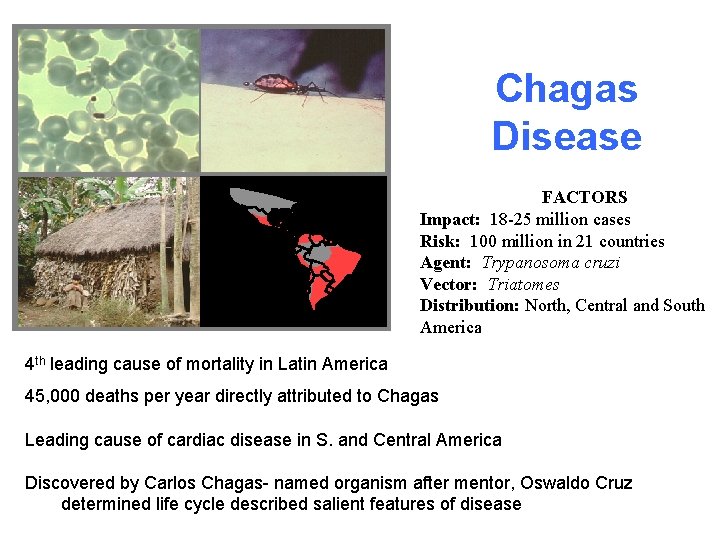 Chagas Disease FACTORS Impact: 18 -25 million cases Risk: 100 million in 21 countries