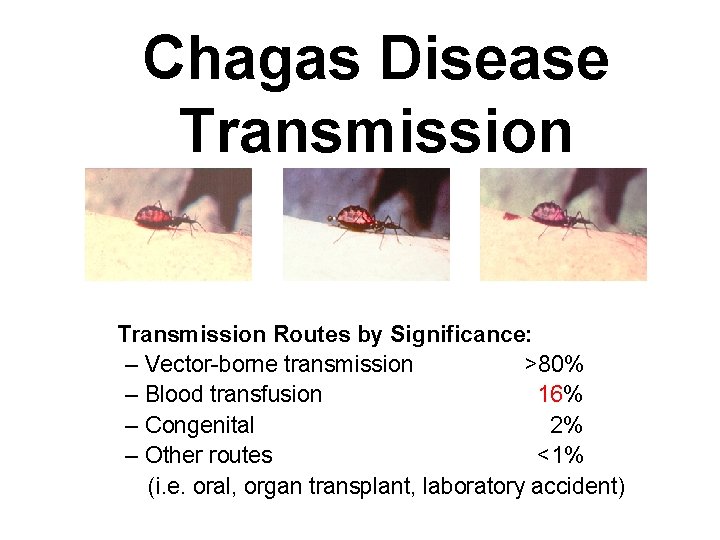 Chagas Disease Transmission Routes by Significance: – Vector-borne transmission >80% – Blood transfusion 16%