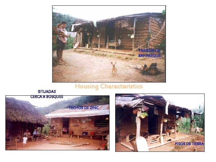 PAREDES DE BAHAREQUE SITUADAS CERCA A BOSQUES Housing Characteristics TECHOS DE ZINC PISOS DE