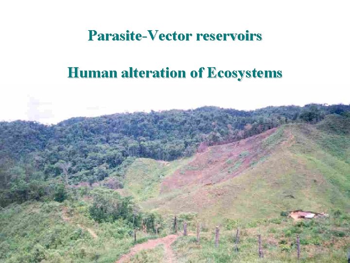 Parasite-Vector reservoirs Human alteration of Ecosystems 