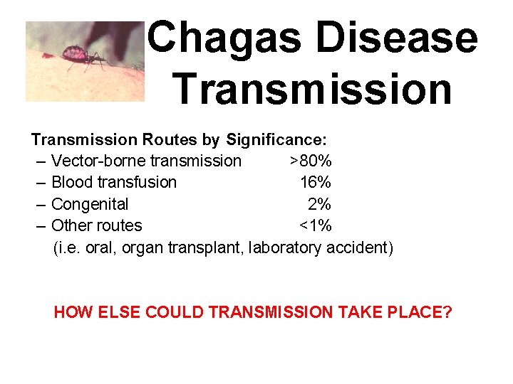 Chagas Disease Transmission Routes by Significance: – Vector-borne transmission >80% – Blood transfusion 16%
