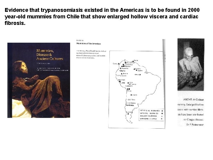 Evidence that trypanosomiasis existed in the Americas is to be found in 2000 year-old